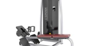 Seated Pulley