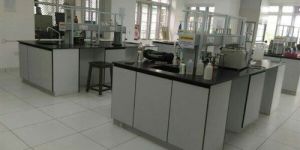 Wooden Laboratory Workstation