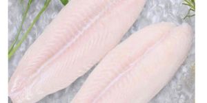 Frozen Basa Fish