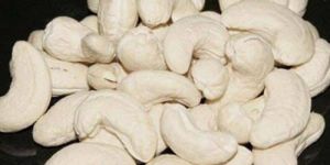Cashew Nut