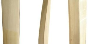 English Willow Cricket Bat