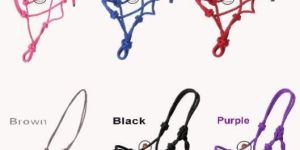 Horse Halters