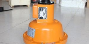 Passenger Hoist Safety Device