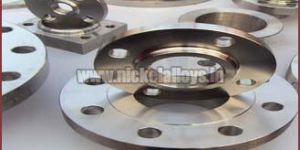 Stainless Steel Flanges