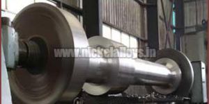 Stainless Steel Forging