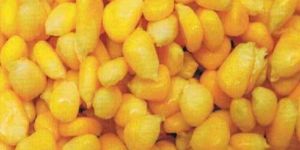 Frozen Sweet Corn