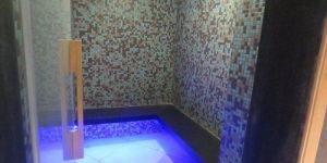 Steam Bath Generator