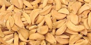 Dehydrated Garlic Flakes