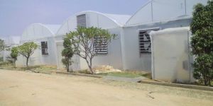 Agricultural Greenhouse