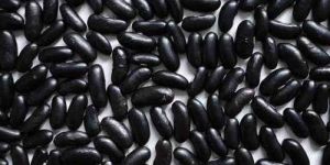 Black Kidney Beans