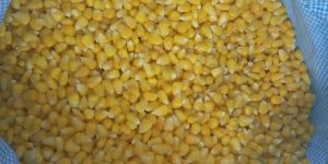 Sweet Corn Kernels - Uncut