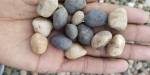 Pebble