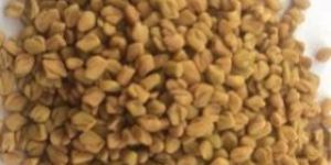Fenugreek