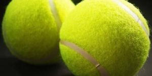 Cricket Tennis Ball
