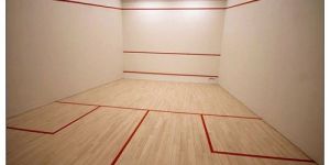 Squash Wall And Wooden Flooring Court Maintenance Services