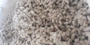 Cattle Feed Cotton Seed Cake