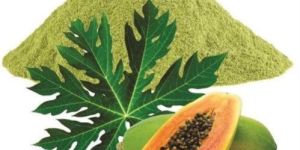 Papaya Leaf Powder