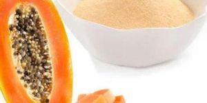 Papaya Powder
