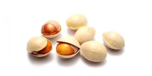 Ginkgo Nuts