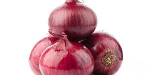 Onion
