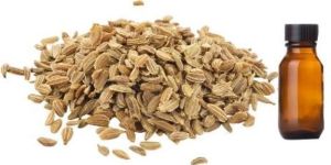 Carrot Seed Oil