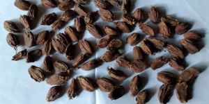 Black Cardamom