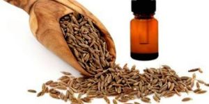 Cumin Seed Oil