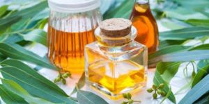 Eucalyptus Oil