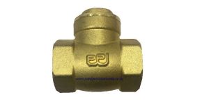 Horizontal NRV Valve
