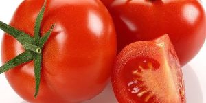 Fresh Tomato