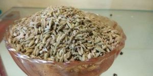 Fennel Seeds