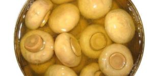 Canned Button Mushroom