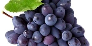 Fresh Black Grapes