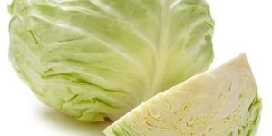 Fresh Cabbage