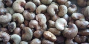 Raw Cashew