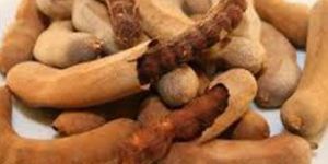 Fresh Tamarind