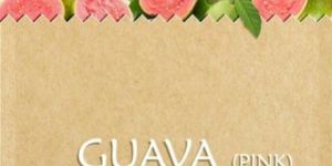 Frozen Guava Pink Pulp