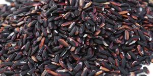 Black Rice
