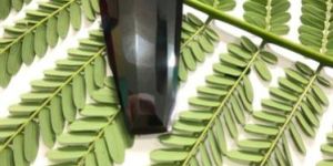 Black Moissanite Fancy Shape