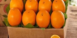 Fresh Egyptian Orange