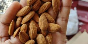 Kashmiri Mamra Almonds