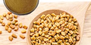 Fenugreek Seed Powder