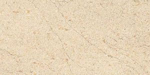 800X800mm Porcelain Floor Tiles