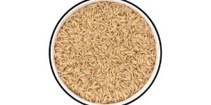 Brown Basmati Rice
