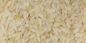 IR8 Rice