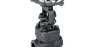 Forged Steel Gate Valve