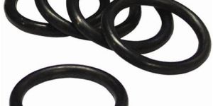 Neoprene O Ring