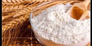 Wheat Flour