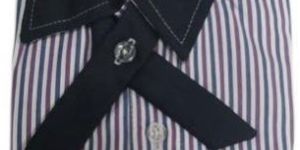 Striped School Shirt