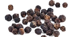 Black Pepper Powder